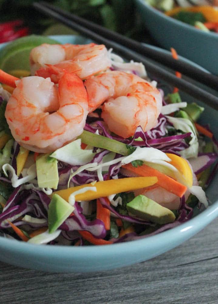 thai-summer-roll-salad-with-shrimp-and-mango-4