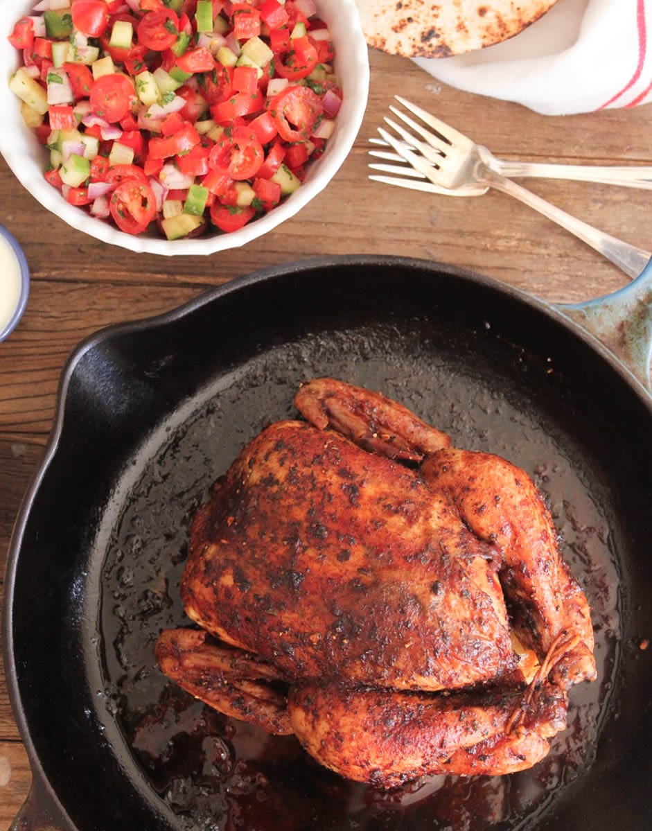 slow-roasted-chicken-tacos-with-mediterranean-salsa-yogurt-sauce-11