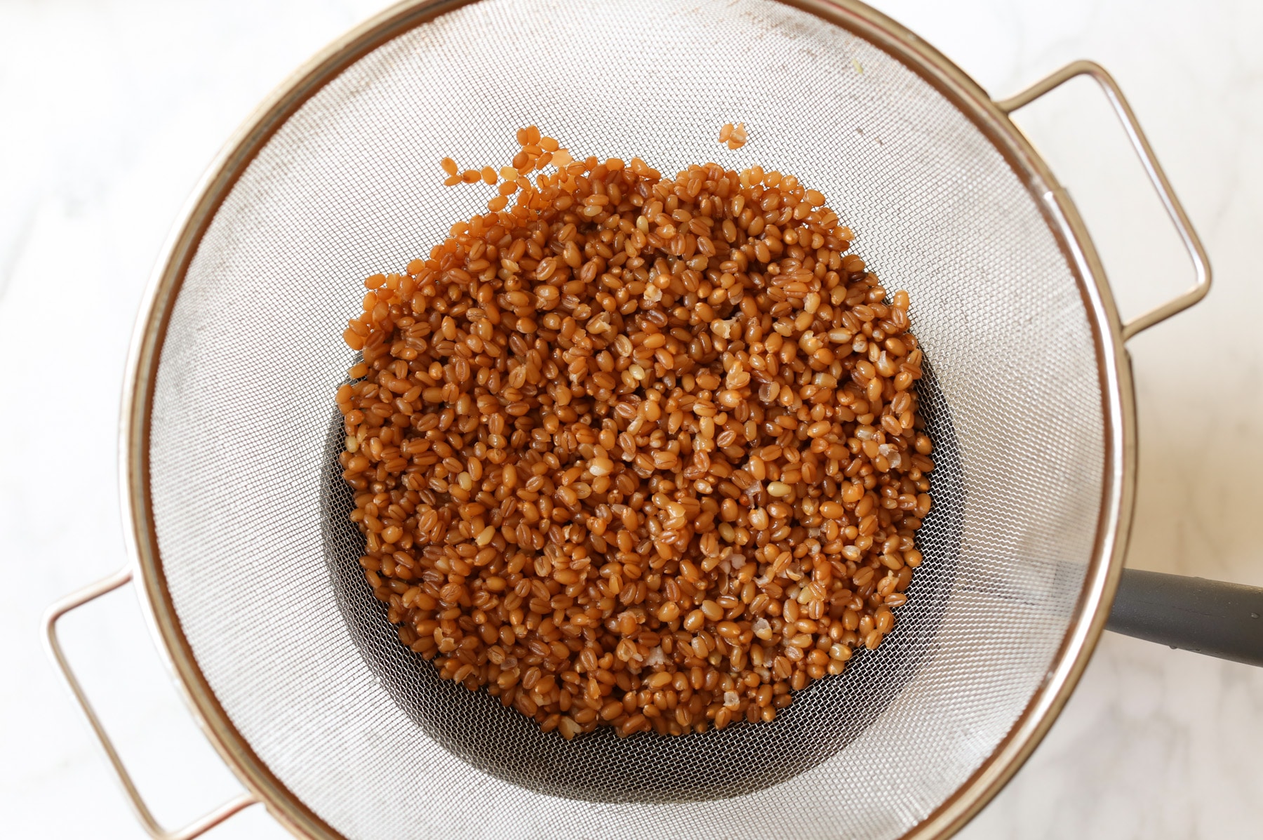 roasted-chicken-and-wheat-berry-salad-with-with-herbs-step-2